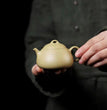 120cc Small Chaoshan Gongfu Tea Pot Handmade Original Benshan DuanNi Yixing Zisha Clay Qinquan Teapot - China Tea Store