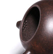 H1576 Shi Tang Yu pot about 230cc authentic Yixing famous teapot ore black steel Zhu mud - China Tea Store