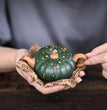 Yixing Purple Clay Pot Teapot Li Xinsheng Handmade Bionic Device Green Mud Powder Pumpkin 120cc - China Tea Store