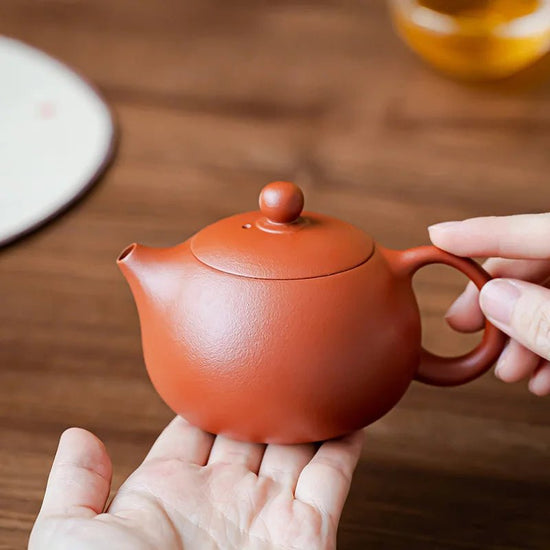 Yixing Teapot Tea Pot filter Xishi Pot Beauties Handmade Purple Clay Teaware Drinkware Set Drink Puer Tea Ceremony - China Tea Store